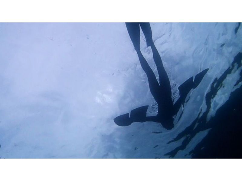 [鳥取/浦富海岸]世界第一！手鰭（Manta Flyer）浮潛與獨木舟の紹介画像