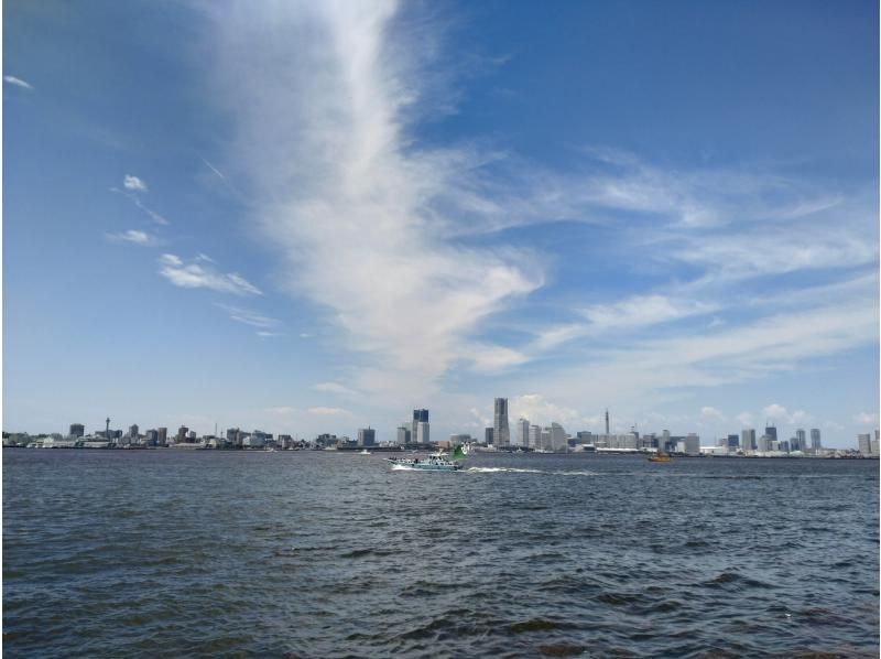 [Kanagawa/Yokohama] Half-day Yokohama tour with guideの紹介画像