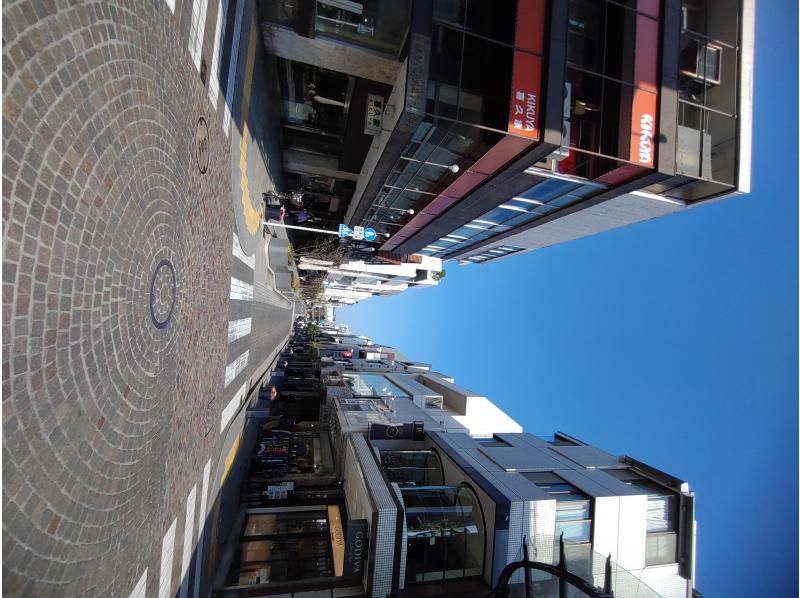 [Kanagawa/Yokohama] Half-day Yokohama tour with guideの紹介画像