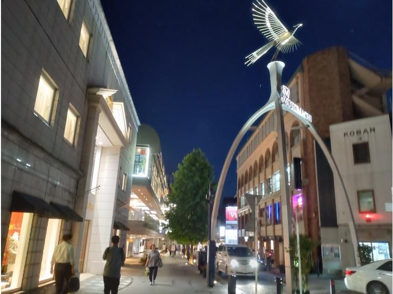 【神奈川・横浜】横浜夜景めぐり　専属ガイド付の紹介画像