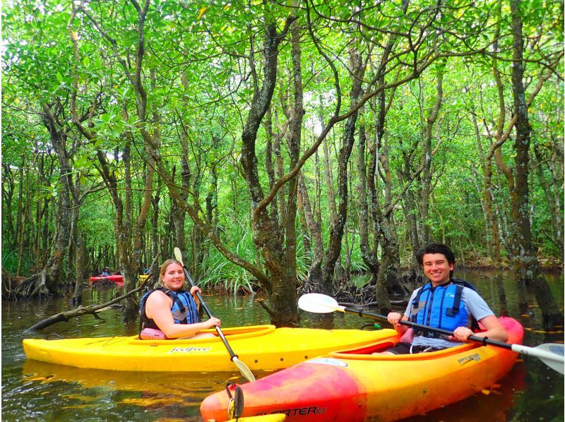 [Iriomote Island - One day] Enjoy Yaeyama soba with a spectacular view. Pinaisara Falls (basin and top of the waterfall) canoe & trekking tourの紹介画像