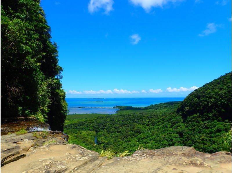 【西表島・一日】絶景で八重山そばを食べよう。ピナイサーラの滝（滝つぼ＆滝うえ）カヌー&トレッキングツアーの紹介画像