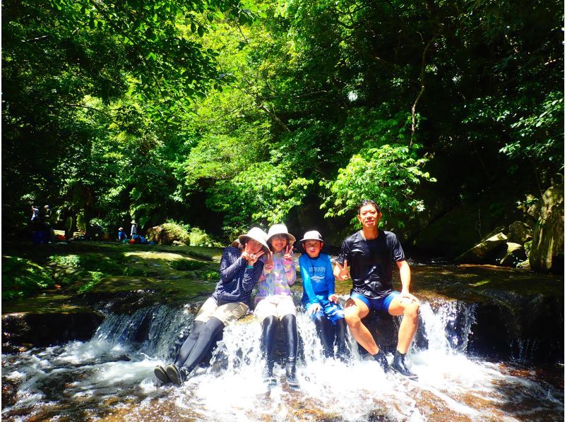 [Iriomote Island - One day] Enjoy Yaeyama soba with a spectacular view. Pinaisara Falls (basin and top of the waterfall) canoe & trekking tourの紹介画像