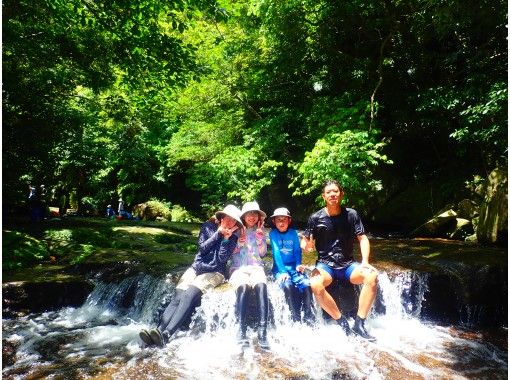 沖縄 西表島 地域共通クーポンｏｋ ピナイサーラの滝 滝つぼ 滝うえ カヌー トレッキングツアー アクティビティジャパン