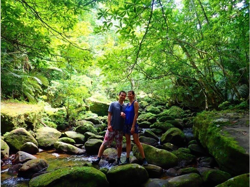 【西表島・一日】絶景で八重山そばを食べよう。ピナイサーラの滝（滝つぼ＆滝うえ）カヌー&トレッキングツアーの紹介画像