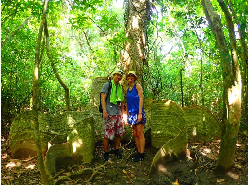 [Iriomote Island - One day] Enjoy Yaeyama soba with a spectacular view. Pinaisara Falls (basin and top of the waterfall) canoe & trekking tourの紹介画像