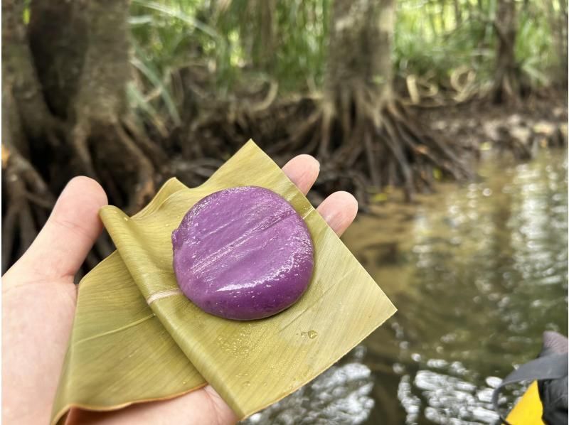 [Iriomote Island - One day] Enjoy Yaeyama soba with a spectacular view. Pinaisara Falls (basin and top of the waterfall) canoe & trekking tourの紹介画像