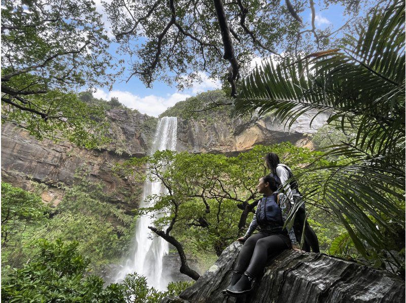 [Iriomote Island - One day] Enjoy Yaeyama soba with a spectacular view. Pinaisara Falls (basin and top of the waterfall) canoe & trekking tourの紹介画像