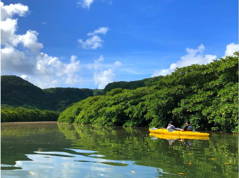 【西表島・一日】絶景で八重山そばを食べよう。ピナイサーラの滝（滝つぼ＆滝うえ）カヌー&トレッキングツアーの紹介画像