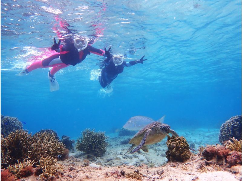 About 30 minutes from Naha. Same-day and last-minute reservations OK. [Pick-up available, for beginners, ages 3-70]. A natural aquarium tour with over 100 kinds of fish and sea turtles. Students only.の紹介画像