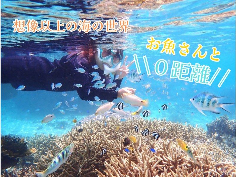 ☆Students only☆About 30 minutes from Naha l Same-day reservations OK l [Pick-up available, for beginners] ☆Over 100 kinds of fish & sea turtles sparkling natural aquarium tour ☆Drone photography freeの紹介画像