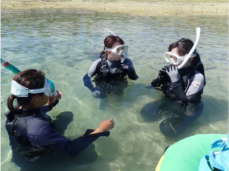 那覇から約30分／学生初心者応援プラン『海のテーマパーク・天然水族感』ウミガメ＆100種以上を探索する自然体験シュノーケリング★当日予約可の紹介画像
