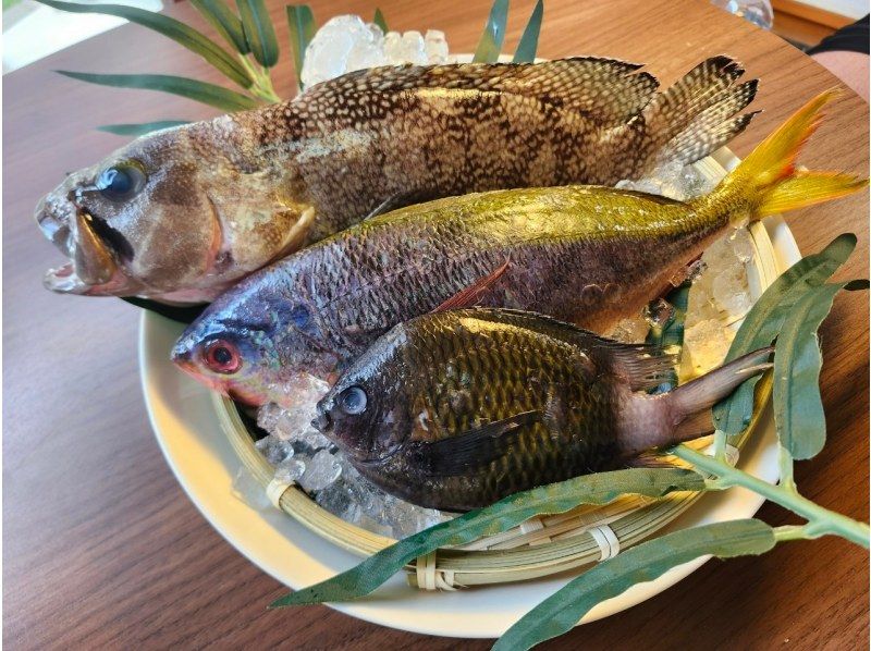 宜野湾発！初心者向けボートフィッシング♪魚は港内の提携店で食べれます☆室内&トイレ完備！の紹介画像