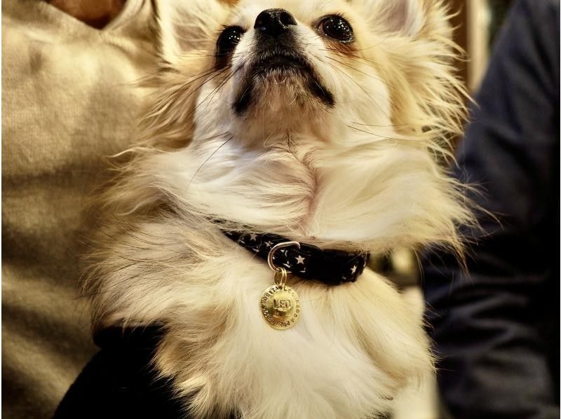 【東京・浅草橋】ネックレスやブレスレットなど、アレンジ自由なチャームが作れるアクセサリーワークショップの紹介画像