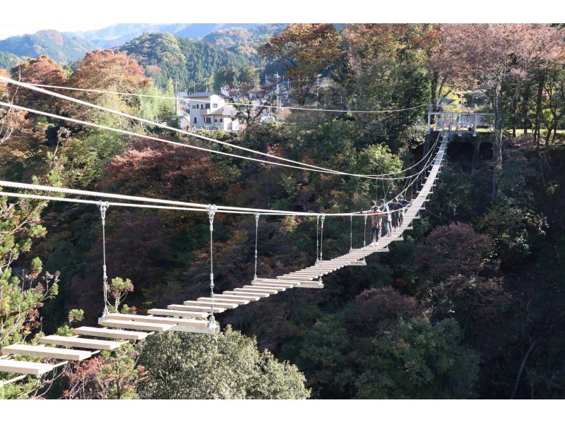 Saitama/Chichibu [Walk! fly! swing! Bungee! ] Conquer all the ultimate gravity-based activities! !の紹介画像
