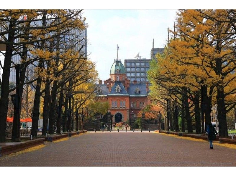 Sapporo city half-day sightseeing free plan (4 hours)の紹介画像
