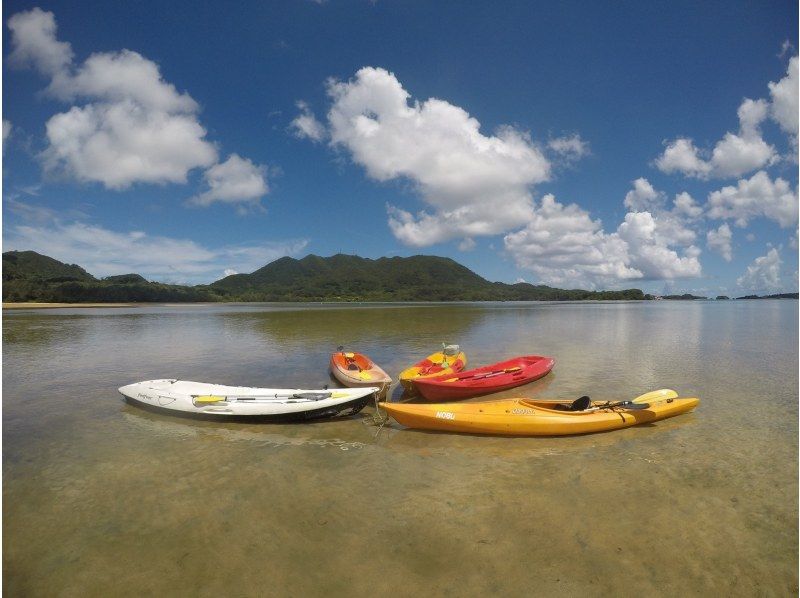 [Okinawa/Ishigaki Island] Three-star Michelin Kabira Bay mangrove canoe experience (photo gift during the tour)の紹介画像