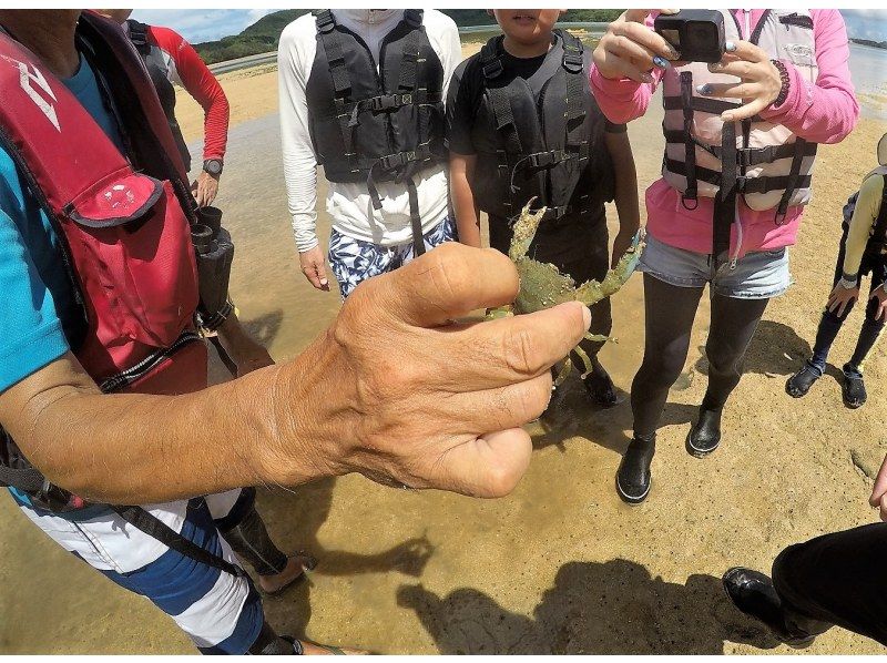 [Okinawa/Ishigaki Island] Three-star Michelin Kabira Bay mangrove canoe experience