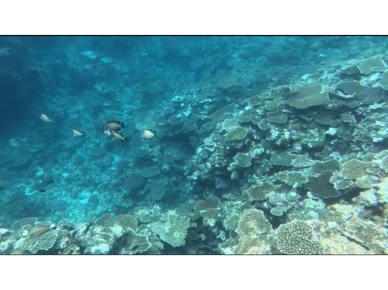 【宮古島・雨天でも可能】海中を自由自在に泳げる　シースクーターの紹介画像