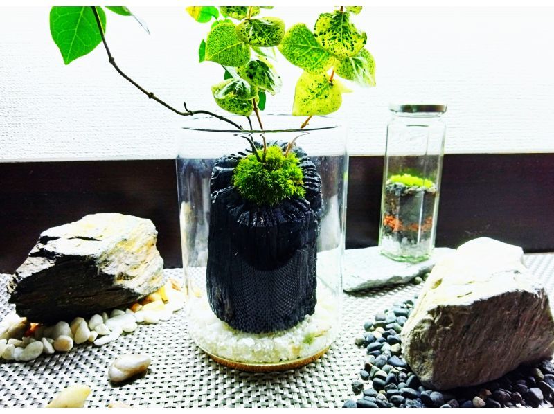 【新宿☆13％OFF】和の趣きを魅せる｢苔の炭鉢｣ づくり体験☆ 只今無料オプションでミニ瓶苔テラリウムも作れます♪の紹介画像