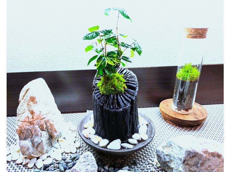 【新宿☆心もなごむ炭飾り】和の趣きを魅せる『苔の炭鉢』づくり の紹介画像