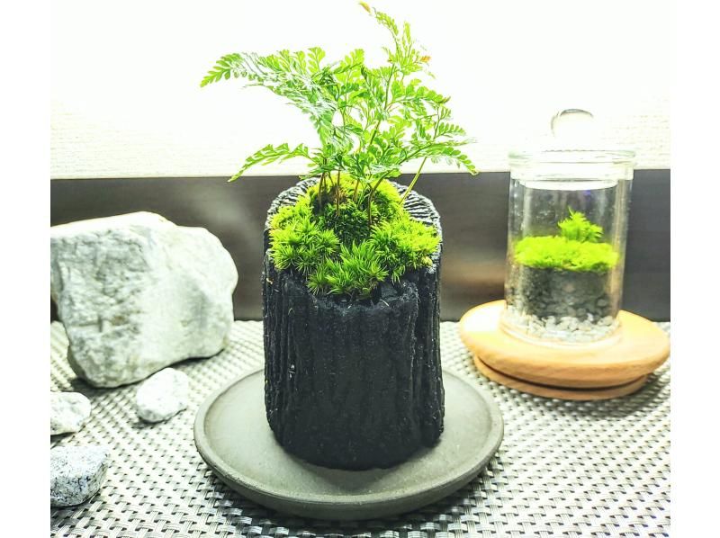 【新宿☆心もなごむ炭飾り】和の趣きを魅せる『苔の炭鉢』づくり の紹介画像