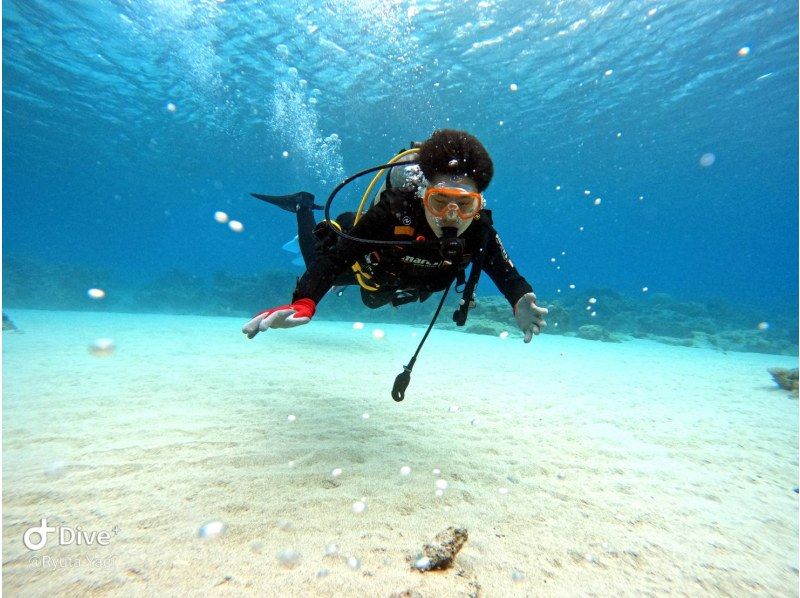 【沖繩恩納村】藍洞體驗潛水兩次！隨處免費取件，免費拍照贈送，完美的小團制♪の紹介画像