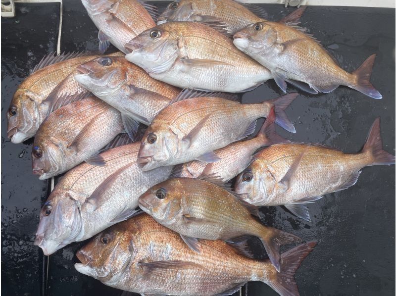 (出船時間が選べる！一つテンヤ真鯛プラン（初心者歓迎最大5名）の紹介画像