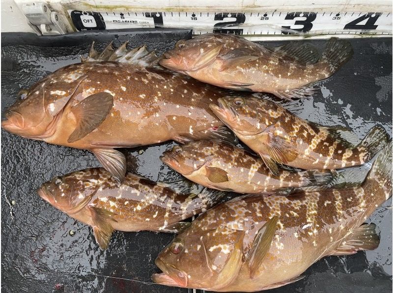 (出船時間が選べる！一つテンヤ真鯛プラン（初心者歓迎最大5名）の紹介画像