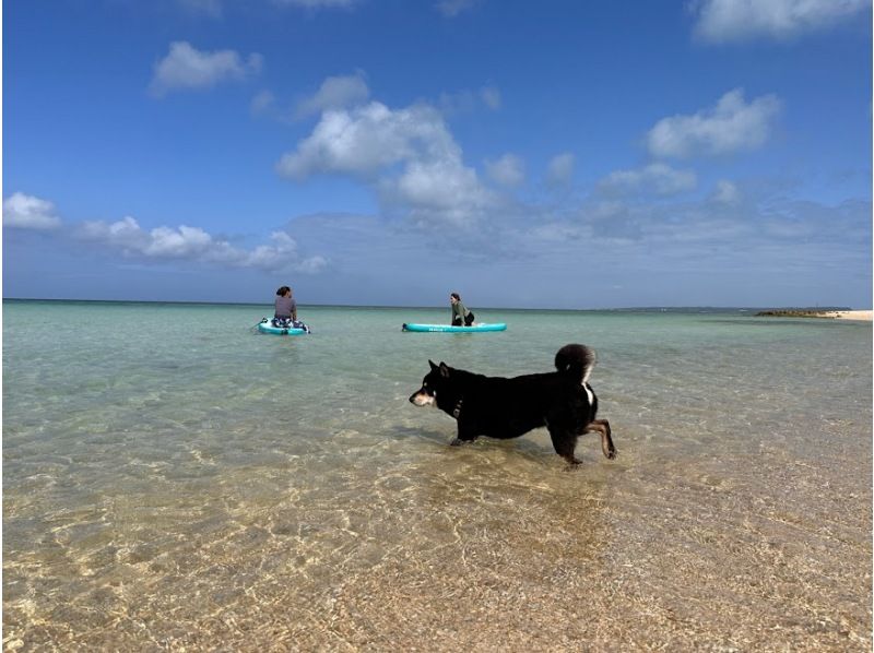 【宮古島】≪SUPヨガ ＆SUPクルージング≫ （2.5時間）体幹も心もととのう水上ヨガ体験！ドローン＆GoPro撮影無料★初心者歓迎の紹介画像