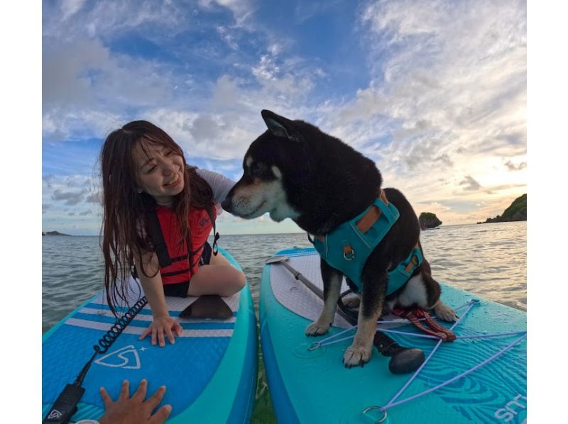 【宮古島】≪SUPヨガ ＆SUPクルージング≫ （2.5時間）体幹も心もととのう水上ヨガ体験！ドローン＆GoPro撮影無料★初心者歓迎の紹介画像