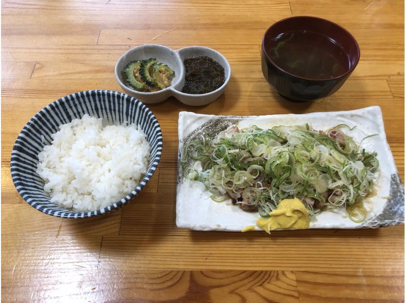 【鹿児島・奄美大島・1日プラン】金作原原生林散策＆マングローブカヌーツーリング・鶏飯ランチ込み