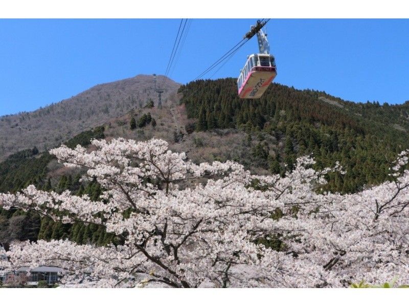 지옥 순회 &middot; 로프웨이 &middot; 유후인 산책 | 가이드 첨부 & 셀프 가이드와 자연과 온천 문화를 체감 하이브리드 투어!の紹介画像