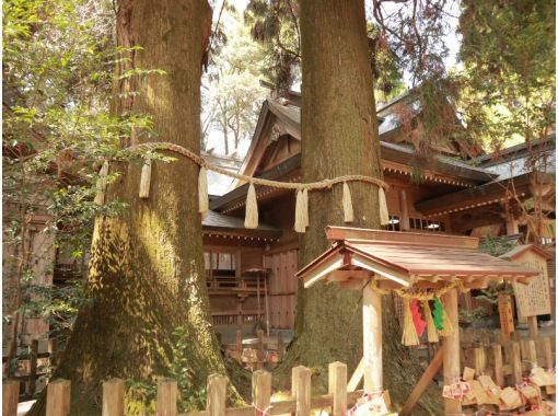 080【熊本発】路線バスの旅:高千穂峡と宮崎郷土料理の昼食(チキン南蛮と瓦焼き風茶そば付御膳) 080【熊本発】路線バスの旅:高千穂峡と宮崎郷土料理の昼食(チキン南蛮と瓦焼き風茶そば付御膳)