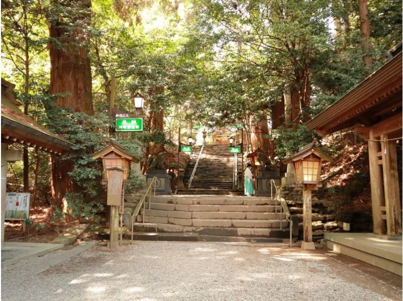 080【熊本発】路線バスの旅：高千穂峡と高千穂牛の昼食（4月出発以降は宮崎郷土料理の昼食（チキン南蛮と瓦焼き風茶そば付御膳））の紹介画像