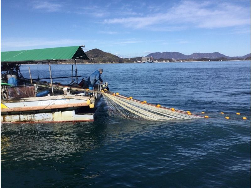 [Ehime/Imabari/Shimanami Kaido] Miyakubo fisherman experience by boat (gochi net inspection), 10 knot Miyakubo red sea bream tour (fixed price for up to 5 people)の紹介画像