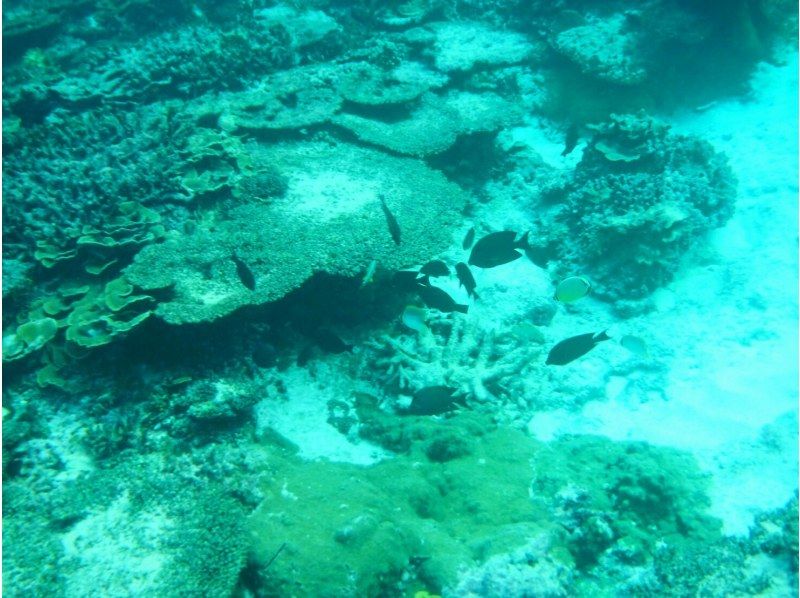 【沖縄・宮古島】☆免許保持者限定☆2時間のガイド付きツーリング　ユニの浜上陸ありの紹介画像