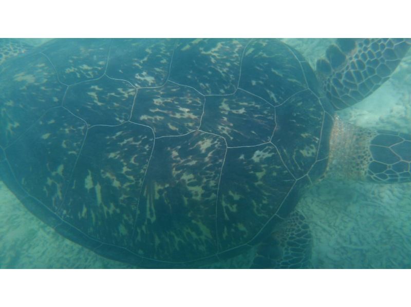 【沖縄・宮古島】☆免許保持者限定☆2時間のガイド付きツーリング　ユニの浜上陸ありの紹介画像