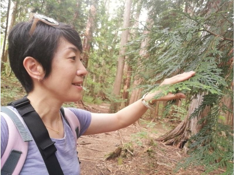 [Nagano / Kamikochi Norikura] Healed by the forest, "Kouyu Forest Bathing® Walk & Aroma Hand Care"  