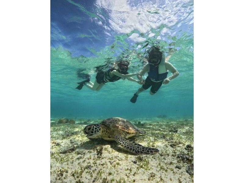 [Okinawa, Miyakojima] Private tour for one group! Let's go see sea turtles and clownfish! Snorkeling tour!の紹介画像