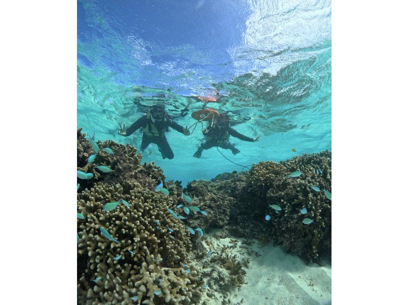 [Okinawa, Miyakojima] Private tour for one group! Let's go see sea turtles and clownfish! Snorkeling tour!の紹介画像