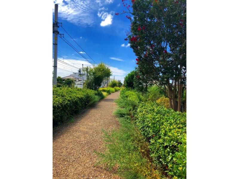 E-bike tour from Shikama Highway to the sea - Traveling around the sea and the highway - ◎ Includes a ticket for Eki Soba, a specialty of Himeji Station!の紹介画像