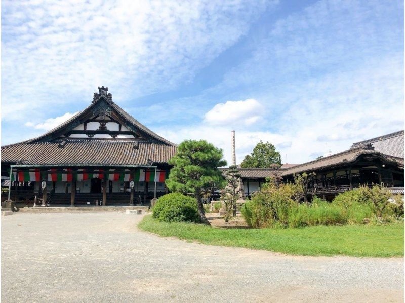 E-bike tour from Shikama Highway to the sea - Traveling around the sea and the highway - ◎ Includes a ticket for Eki Soba, a specialty of Himeji Station!の紹介画像