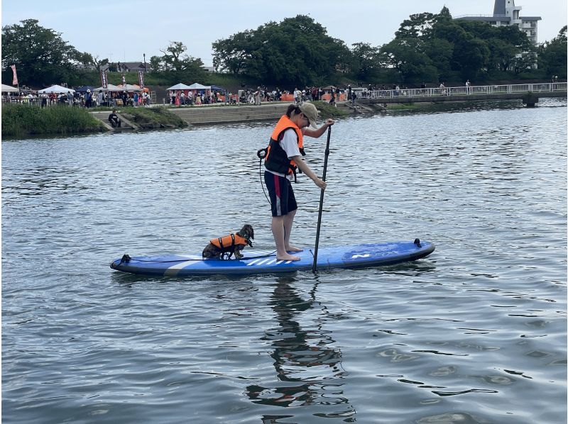 【愛知・岡崎市】愛犬大事にしてますか？日本ドッグサップ協会認定インストラクターの初心者向け基礎習得 2時間レッスン！×1~3回の紹介画像