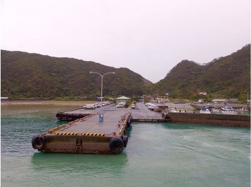【鹿児島・奄美大島】1day・Cコース・加計呂麻島散策＆マングローブカヌーツーリングの紹介画像