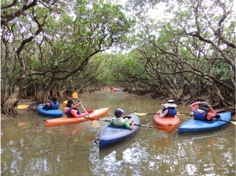 【鹿児島・奄美大島】1day・Cコース・加計呂麻島散策＆マングローブカヌーツーリングの紹介画像