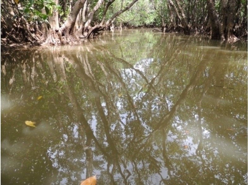 【鹿児島・奄美大島】1day・Cコース・加計呂麻島散策＆マングローブカヌーツーリングの紹介画像