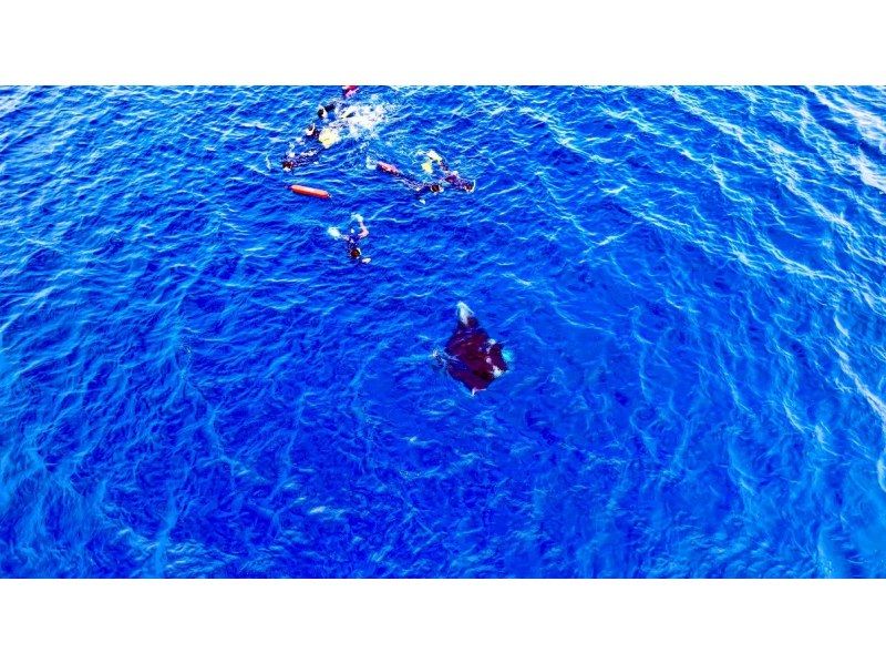 [Small number of events] [Regional coupon correspondence] [2 hours / last minute reservation OK!] Beach snorkel tour without seasickness! Relax at a local point ♪ Photo / free transfer!の紹介画像