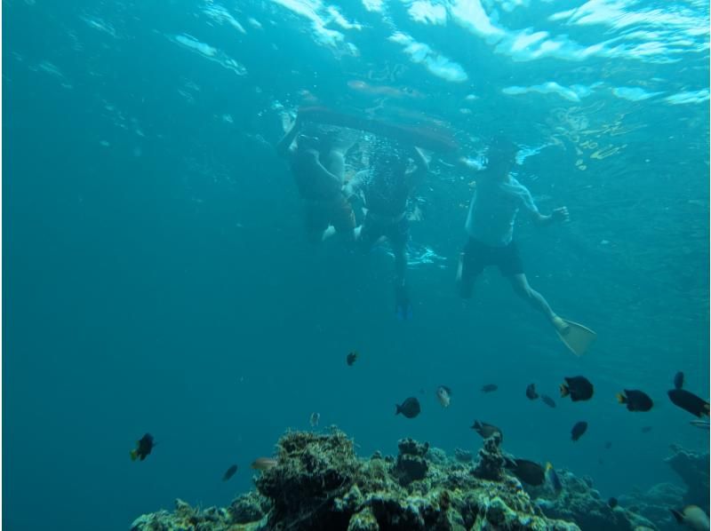 [Small number of events] [Regional coupon correspondence] [2 hours / last minute reservation OK!] Beach snorkel tour without seasickness! Relax at a local point ♪ Photo / free transfer!の紹介画像