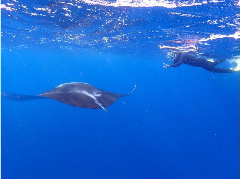 [Small number of events] [Regional coupon correspondence] [2 hours / last minute reservation OK!] Beach snorkel tour without seasickness! Relax at a local point ♪ Photo / free transfer!の紹介画像